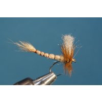 light brown mayfly with detached body