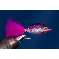 Purplefish