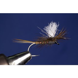 Braune Parachute 10