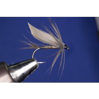 Peacock Quill - Nassfliege 10