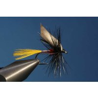 Dry fly Geisslers Partria Wutach