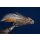 Streamerset Rehhaarkopfstreamer / Muddler 4 ohne Widerhaken