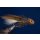 Streamerset Rehhaarkopfstreamer / Muddler 10 ohne Widerhaken
