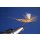 Extended Body  Maifliegen 8 mit Widerhaken