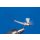 Extended Body  Maifliegen 8 mit Widerhaken