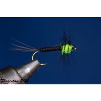 Nymphenset UV-Montana 12 ohne Widerhaken