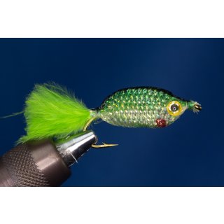 Green Whitefish