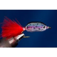 Rainbow trout streamer
