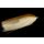 Weiß-Tan farbener Köderfisch mit Sprectra Effekt Gr 2/0 / ca. 15cm