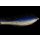Blau-weißer Köderfisch mit UV-Effekt Gr. 1/0 / ca. 12cm