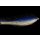 Blau-weißer Köderfisch mit UV-Effekt Gr 2/0 / ca. 15cm