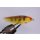 Streamerset Matte Faserfischchen 6 ohne Widerhaken