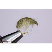 Fliegenset Flohkrebse / Scuds 14 ohne Widerhaken