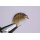 Fliegenset Flohkrebse / Scuds 14 mit Widerhaken