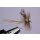 Fliegentoms Trockenfliegenset Favoriten 10 Mit Widerhaken