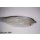 Riesenstreamer Nr. 2 - Weißfisch 23-25cm - #8/0 unbeschwert