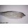 Riesenstreamer Nr. 2 - Weißfisch 18-20cm - #4/0 10g