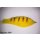Riesenstreamer Nr. 12 - Yellow Tiger 23-25cm - #8/0 unbeschwert