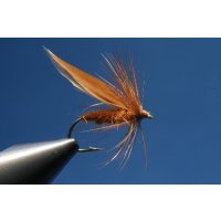 red brown fly