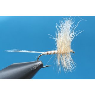 New classic Dry Fly No. 5