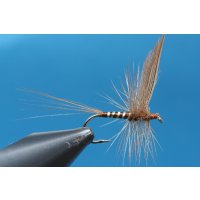New classic Dry Fly No. 12