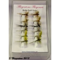 Assortment of 12 Dry Flies - Body Quill Duns