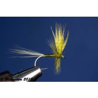 Set Body Quill Duns
