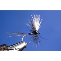 Set Body Quill Duns