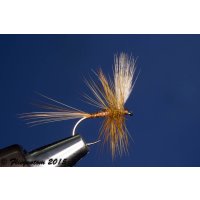 Set Body Quill Duns