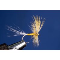 Set Body Quill Duns