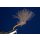 CDC Shuttle Emerger orange Quill mit Widerhaken 16