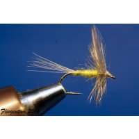 BWO - Blue Winged Olive ohne Widerhaken 12