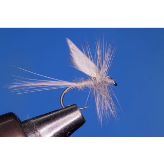 Blue Dun barbless 18