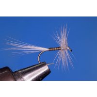 Blue Quill (Blue Upright) barbless 12