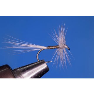 Blue Quill (Blue Upright) barbless 18