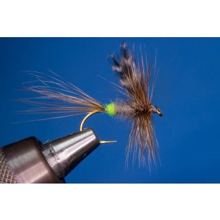 Female Adams ohne Widerhaken 10
