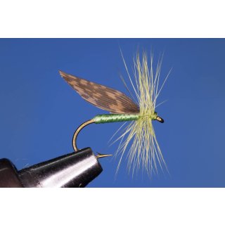 Green Caddis/Grüne Köcherfliege mit Widerhaken 12