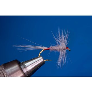 Iron Blue Dun barbless 14