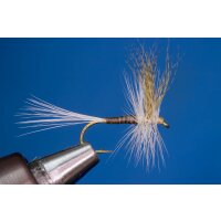 Quill Gordon ohne Widerhaken 16