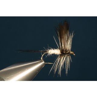 Coffin Fly ohne Widerhaken 14