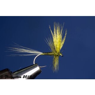 Olive Body Quills Dun mit Widerhaken 12