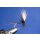 Schwarze Body Quills Dun ohne Widerhaken 14