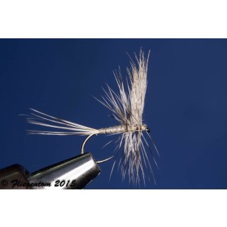 Body Quills Blue Dun barbless 14