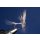 Body Quills Blue Dun barbless 14