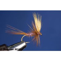 Brown Sparkle Dun barbed 16