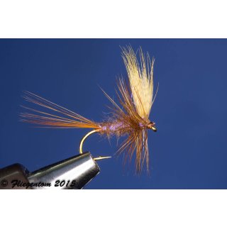 Brown Sparkle Dun barbed 18