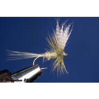 light olive Sparkle Dun barbless 14