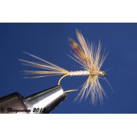 Marchbrown Biotbody Dun barbless 12