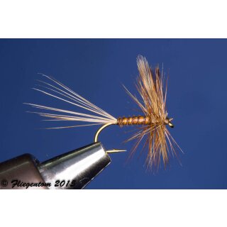 Brown Biotbody Dun barbed 12
