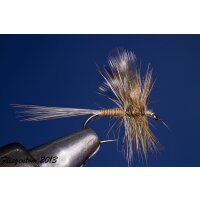 Quill Adams ohne Widerhaken 14
